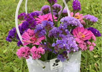 Статица Полевской