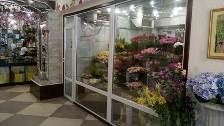 Фото компании  Донна Роза 8