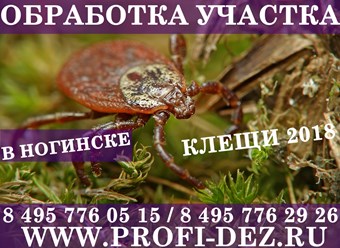 #дезинсекция 
#уничтожениеклопов 
#дезинсекция 
#уничтожениеклопов 
#уничтожениенасекомых 
#дезинсекцияколомна 
#дезинфекцияколомна 
#уничтожениекомаровколомна 
#уничтожениеклоповколомнепрофидез