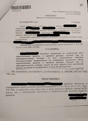 приговор по 228