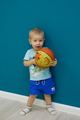 Фото компании  Слон и птичка 4