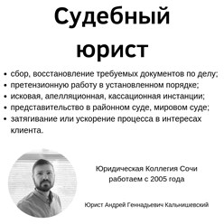судебный юрист, адвокат в суд
