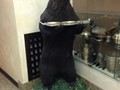 Фото компании  Виталич 4