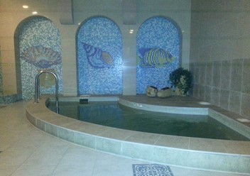 Фото компании  Wellness, галерея саун 3
