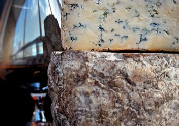 Фото компании  Земля сыра 6