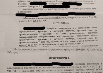 приговор по 228