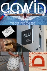 Логотипы и фирменные стили для разных компаний: бассейн Аквин, Высшая школа стилистики (ВШСН), бар CRAFT, пиццерия DROVAMUKA
