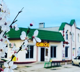 Фото компании  MEGAGIROS, кафе 5