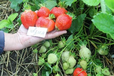 Фото компании ООО Заур и К 7