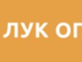 Фото компании ООО Лук оптом 1