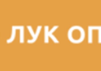 Фото компании ООО Лук оптом 1