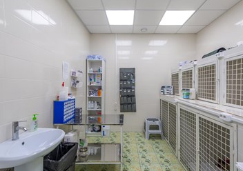 Фото компании ООО Хвостатая помощь 1