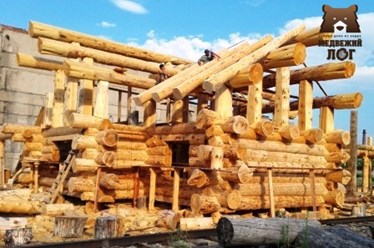 Проектирование и строительство рубленных домов премиального уровня