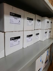 Пополнение склада - Фильтр газовый GECA в наличии DN20, DN25, DN32, DN40, DN50, DN65, DN80