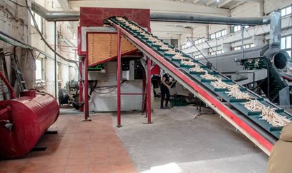 Фото компании ООО Серебряная береза 27