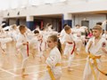 Фото компании  Лига профессионалов каратэ-до "ПРОФИ" 1