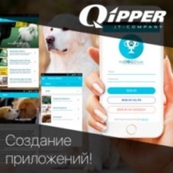 Фото компании ип Qipper 2