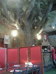 Фото компании  Кан-Синь, кафе 2