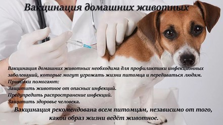 Фото компании ООО Белый Бим 10