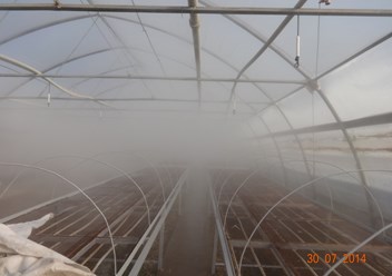Система туманообразования