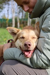 Фото компании СГОБФ Фонд "Зоозащита Плюс" 5