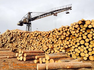 Фото компании  Белорецкий деревообрабатывающий завод 3