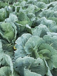 Фото компании КАТ "Азур-Нива" 5