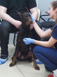 Фото компании  Веда 7