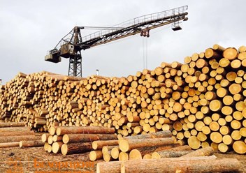 Фото компании  Белорецкий деревообрабатывающий завод 3