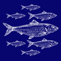 Фото компании ИП Shp 10