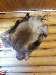 Фото компании  Банный Дворик, сауна 47