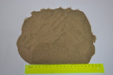 Фото компании  Сухой песок 5