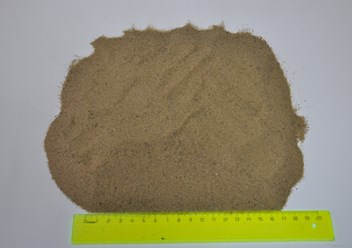 Фото компании  Сухой песок 5