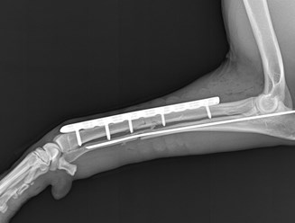 Фото компании  ПЛАНЕТА 11
