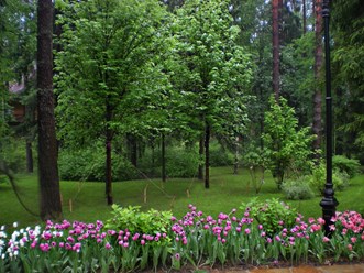 Фото компании  Primula 1