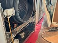 Фото компании  Miele Service 1