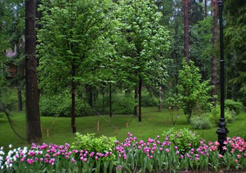 Фото компании  Primula 1