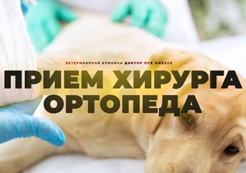 Фото компании  Доктор Пух 6