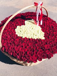 Фото компании ООО Premium Flowers 8
