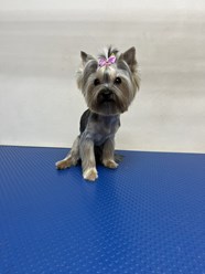 Фото компании  ZooMeister 5