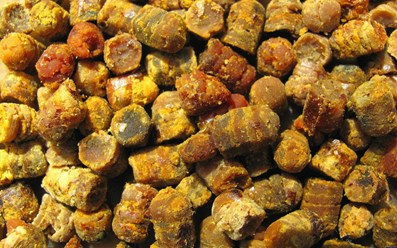 Перга - особый ценный продукт пчеловодства.