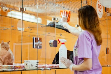 Фото компании  BookingCat 1