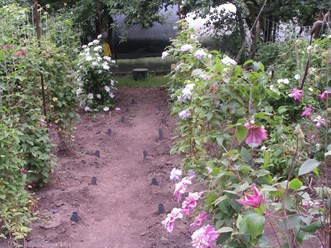 Фото компании  Бал Цветов 13