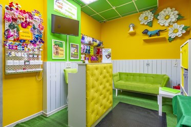 Фото компании  ВертиХвостка 5