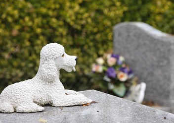 Фото компании  «РасВет» 5