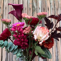 Каллы Полевской