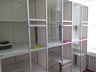 Стандартные номера в зоогостинице "Кошкино"