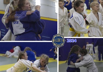 Спортивное дзюдо для девочек.