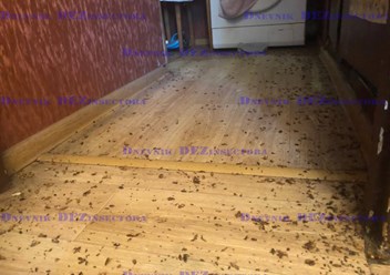 Фото компании  ДезГород Тольятти 2