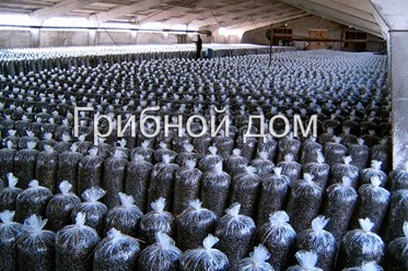 Фото компании ИП Грибной дом 1